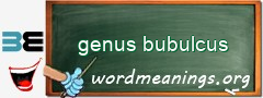 WordMeaning blackboard for genus bubulcus